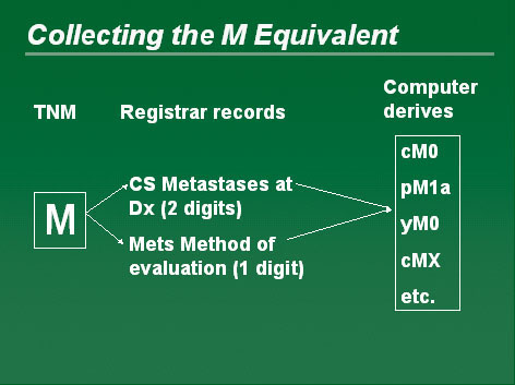 Diagram showing the collection of the M Equivalent