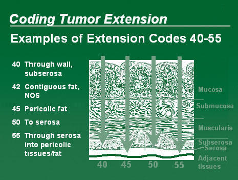 Illustration showing an example of the extension codes 40-55