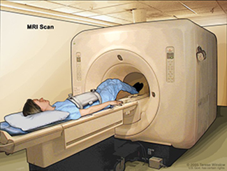 Magnetic resonance imaging (MRI) of the abdomen. The patient lies on a table that slides into the MRI machine, which takes pictures of the inside of the body. The pad on the patient's abdomen helps make the pictures clearer.. Source: Terese Winslow (illustrator), National Institutes of Health