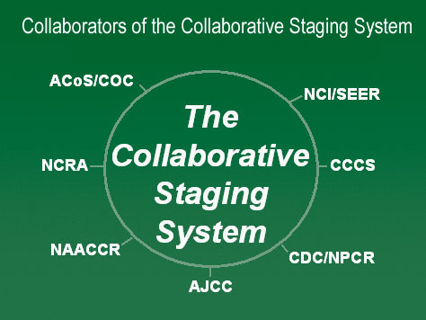 Diagram showing the collaborators of the collaborative staging system