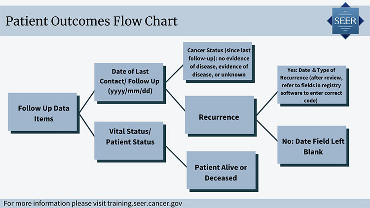 A Patient Outcomes Flow Chart. 1. Follow up data items: 1a) Date of last contact/follow up (yyyy/mm/dd): a) cancer status (since last follow up) no evidence of disease, evidence of disease, or unknown. b) recurrence: b1) Yes: date and type of recurrence (after review, refer to fields in registry software to enter correct code) or b2) No: date field left blank. 1b) Vital status/patient status: a) patient alive or deceased. 
